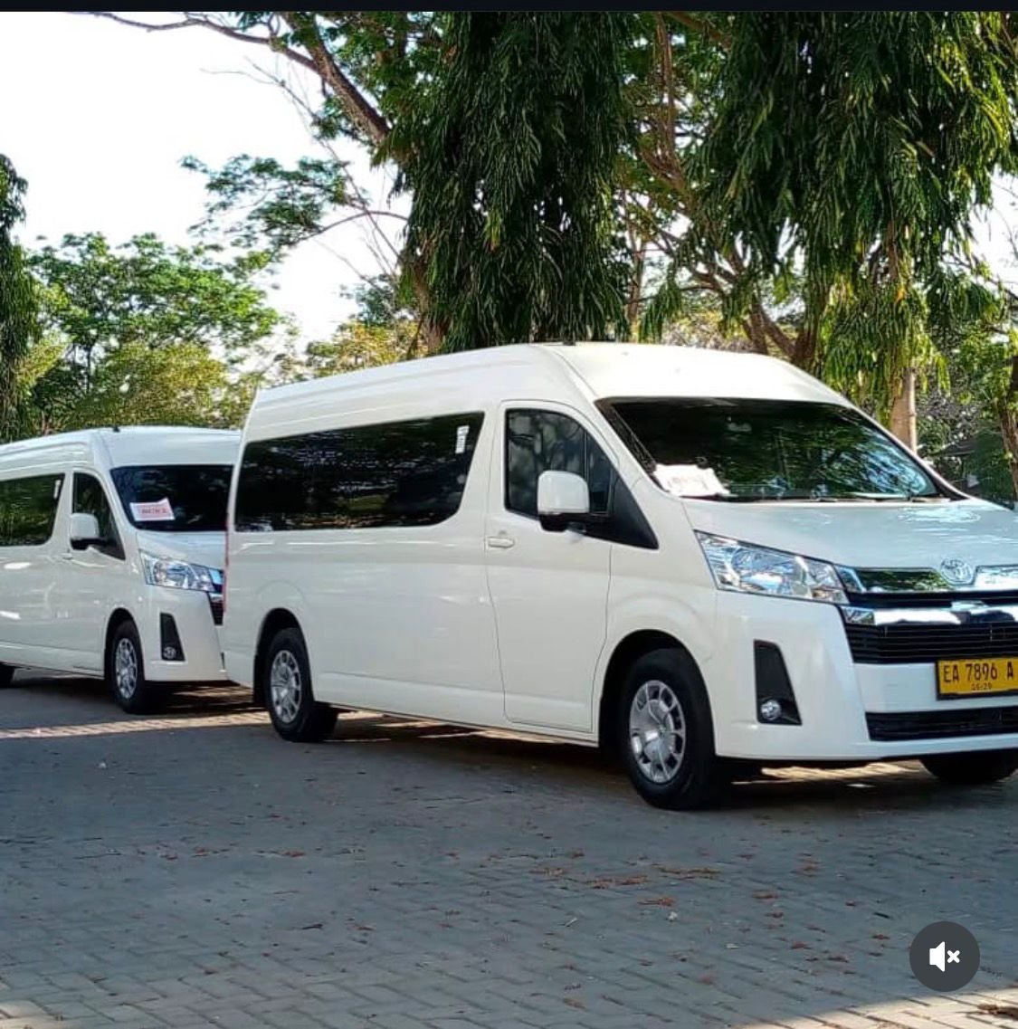 Interior bis VIP mewah dengan kursi kulit berwarna coklat dan fasilitas modern